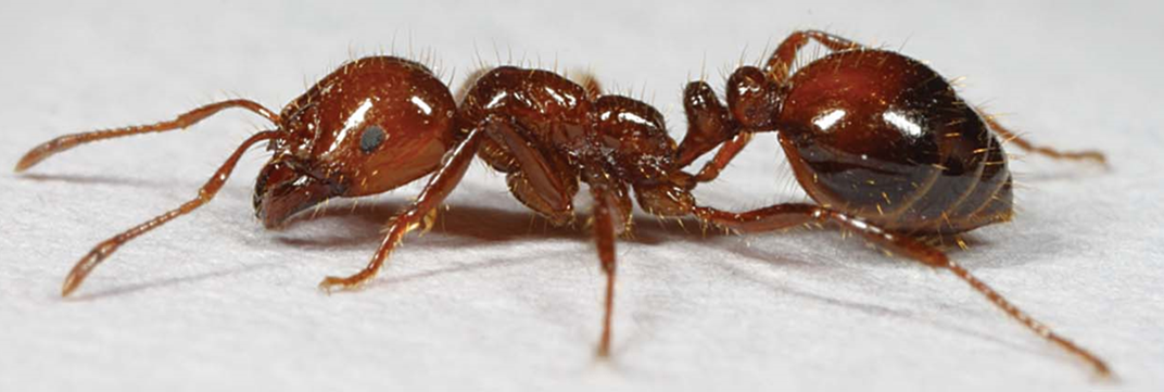 Figure 2png